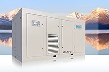 臺(tái)灣捷豹永磁變頻二級(jí)空氣壓縮機(jī)ZLS175 2i